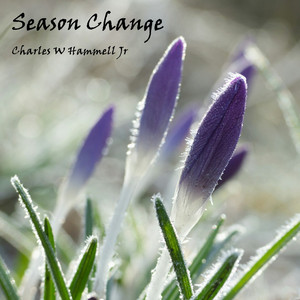 Charles W Hammell Jr – Season&nbsp;Change