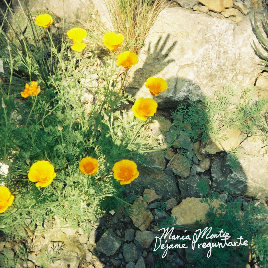 María Mortiz – Déjame&nbsp;Preguntarte