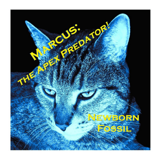 Terror Terror –&nbsp;Emasculation