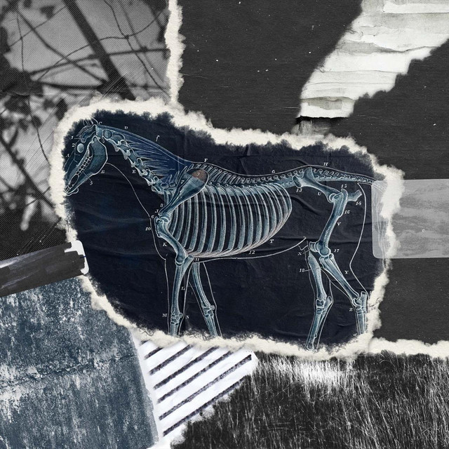 Once More, Autumn –&nbsp;Halcyon