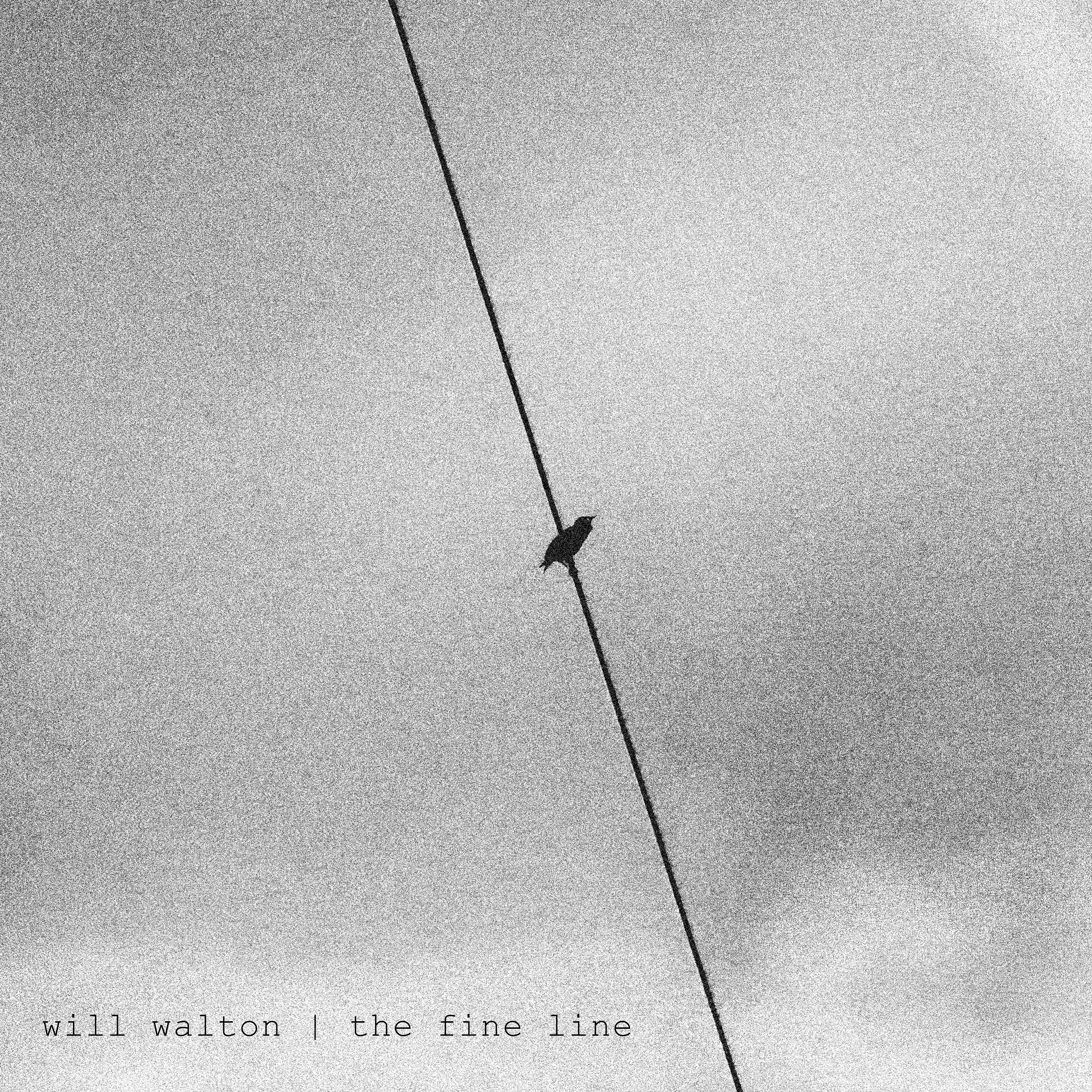 Will Walton – the fine line