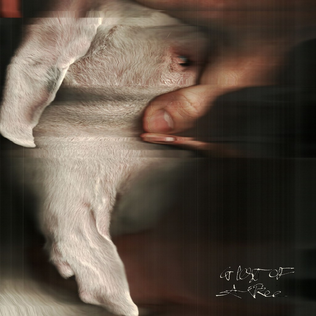 Green Gardens – Ghost of a&nbsp;Tree