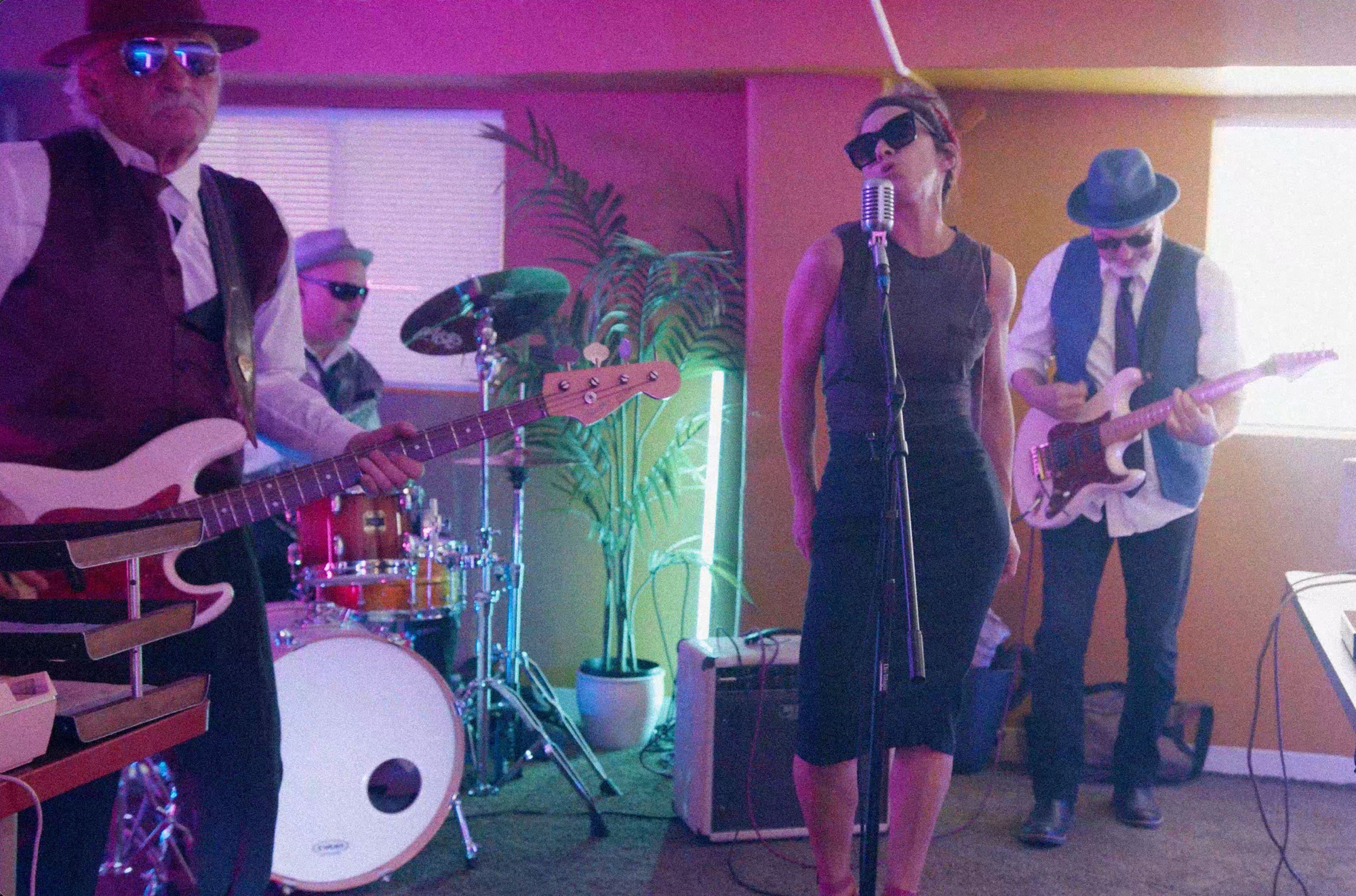 Zircon Skyeband – Leg Up!!