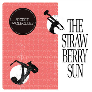 Secret Molecules – Taking it Easy