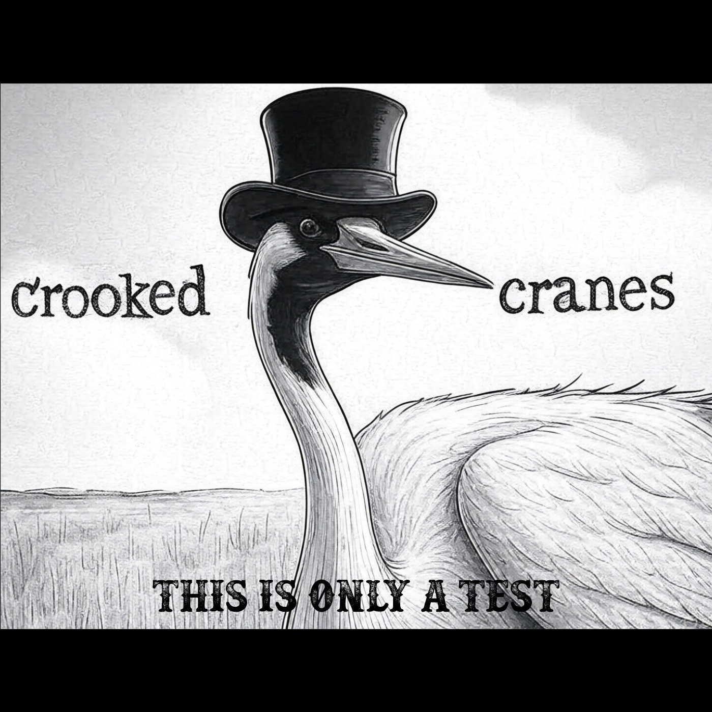 Crooked Cranes – This is Only a Test