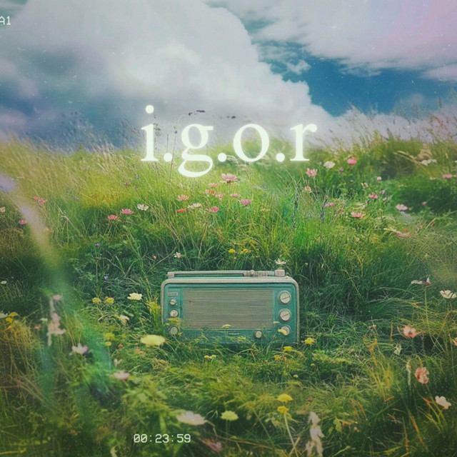 L U A V –&nbsp;i.g.o.r