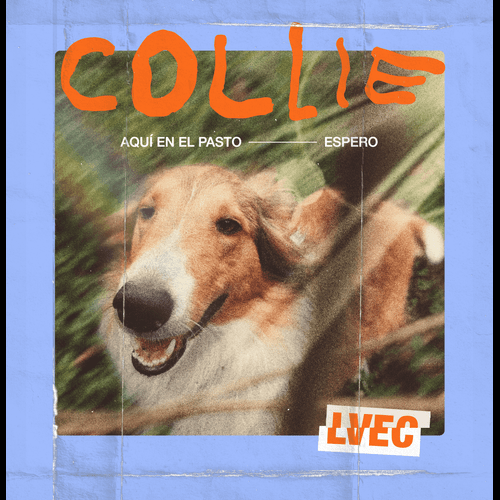 La Version Extendida de las Cosas –&nbsp;Collie