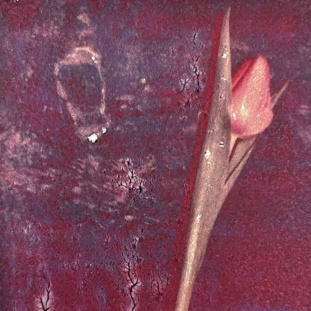 MOVIELAND – Just a&nbsp;Second