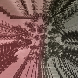 Liam Finn – The&nbsp;Howl