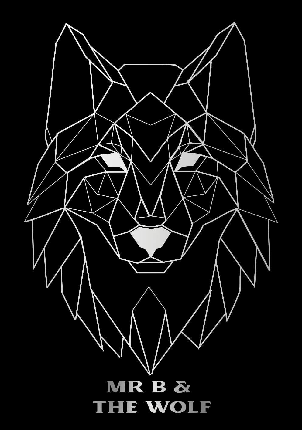 Mr B & The Wolf – Black&nbsp;Crow