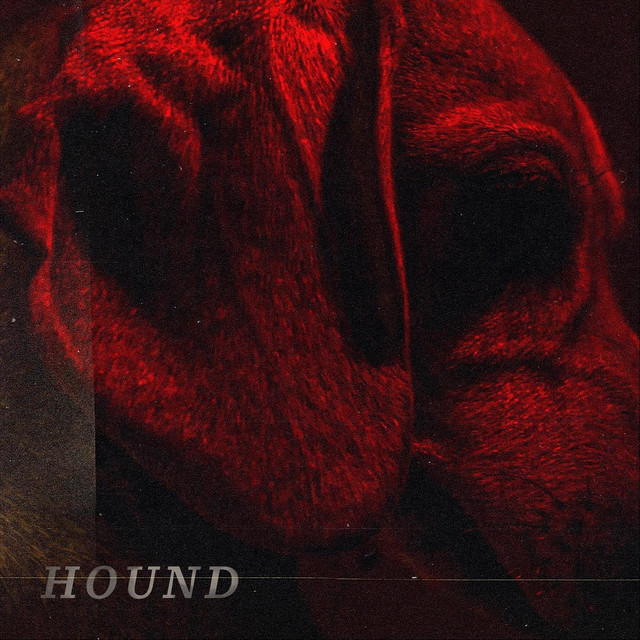 To Bloom –&nbsp;Hound