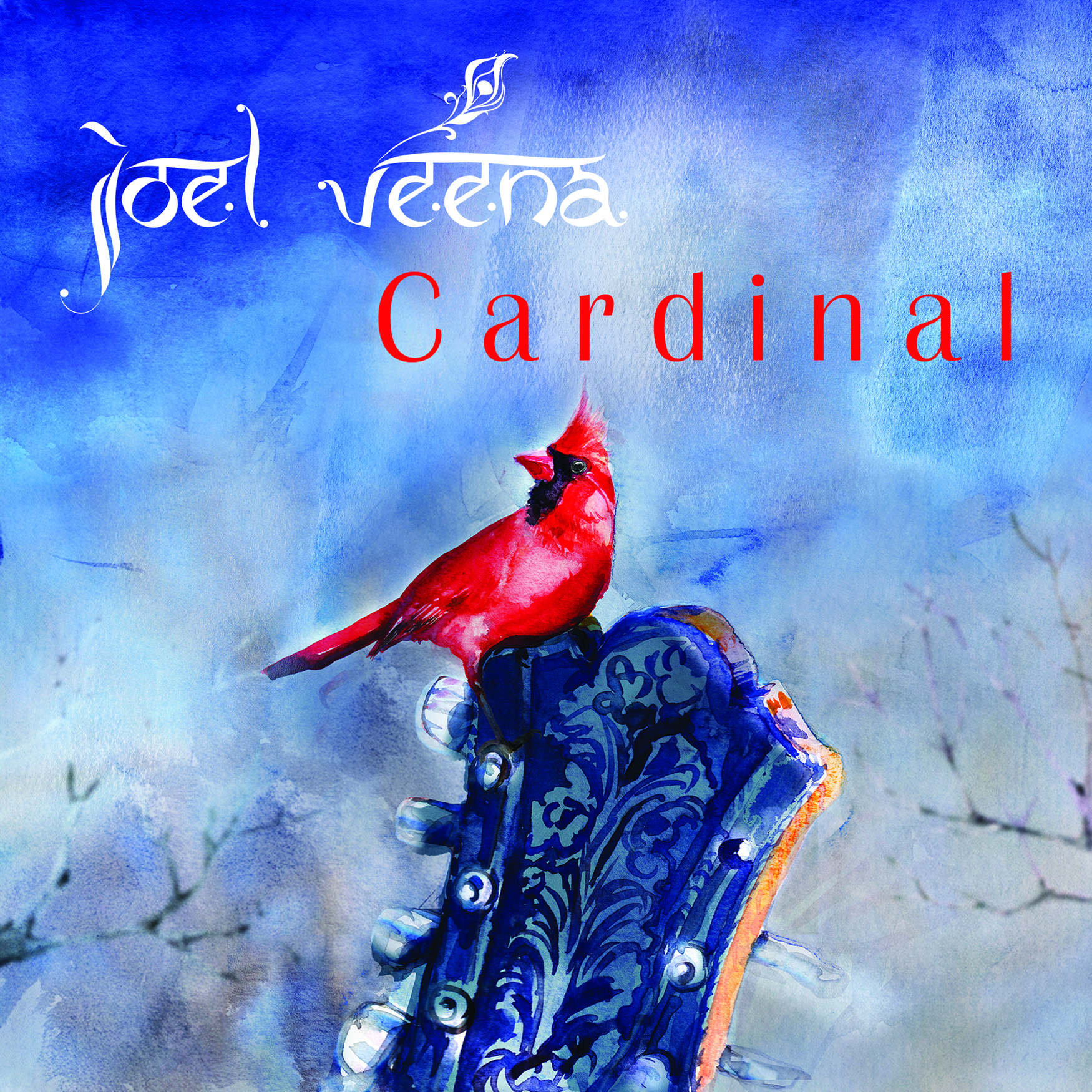 Joel Veena – Cardinal