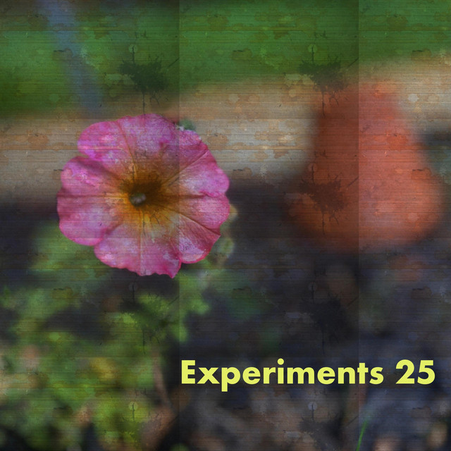 Brian Satterfield – Wild Woozy