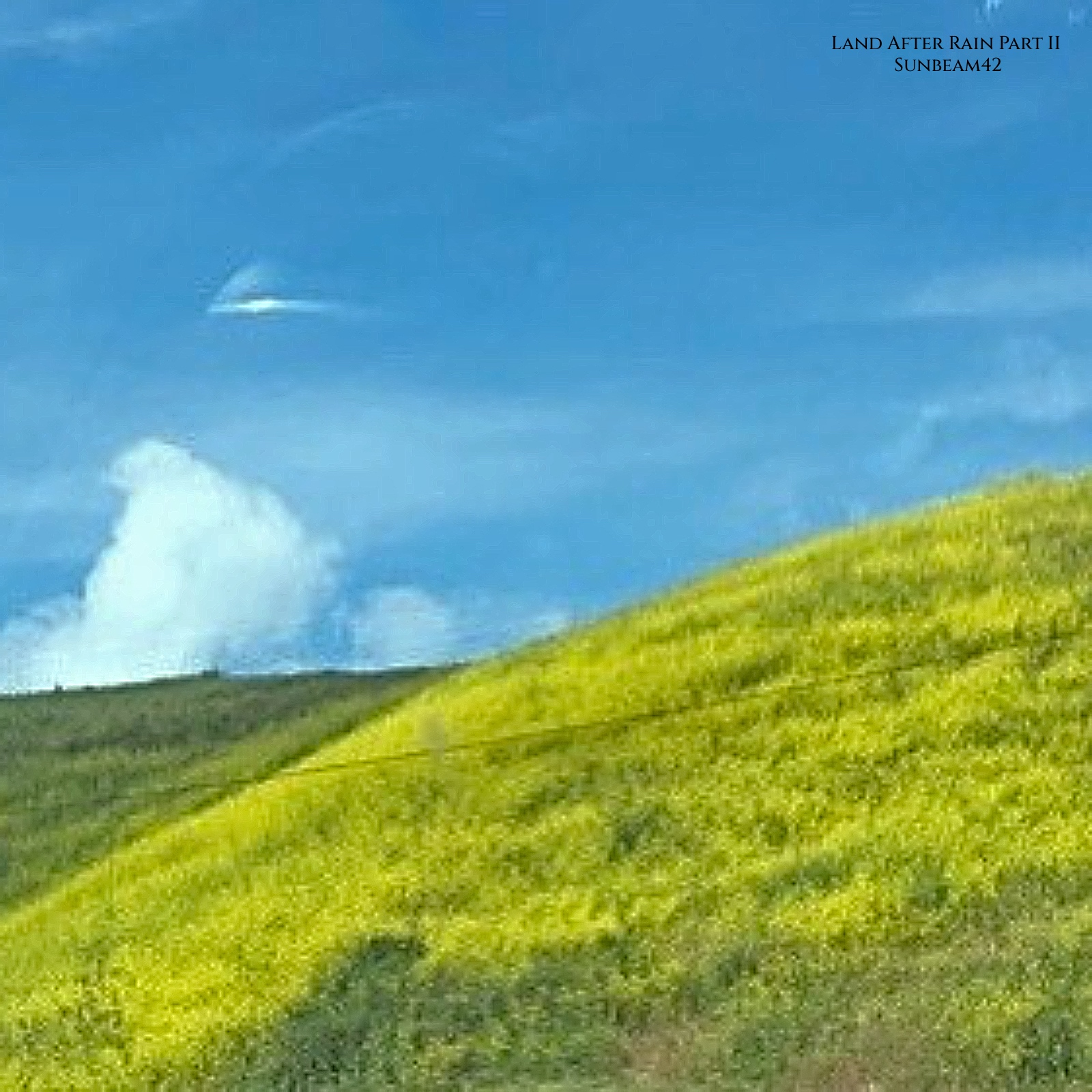 Sunbeam42 – Land After Rain, Pt. 2