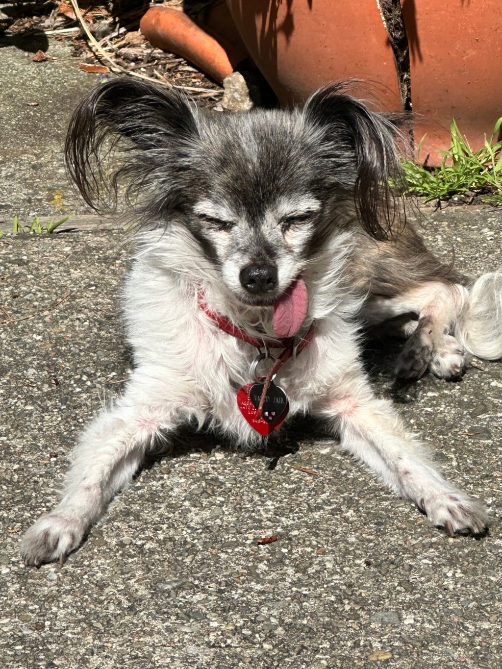 Don’t Tell John – I”m&nbsp;Done