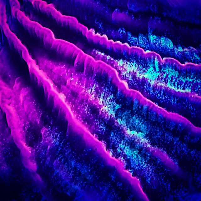 Siren Section – Climbing&nbsp;Fences