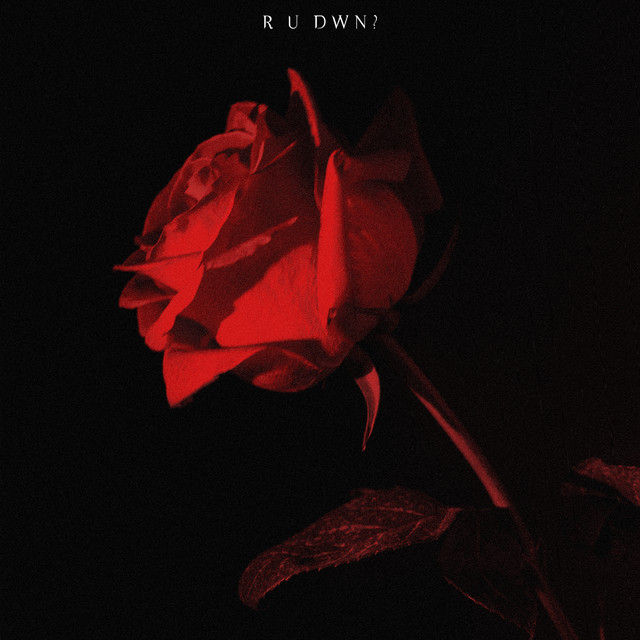 Sorry X – R U DWN?