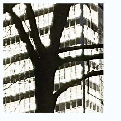 Boxwell – Blankets