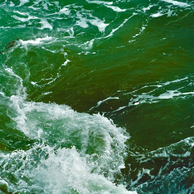 Trails and Ways –&nbsp;Patiently