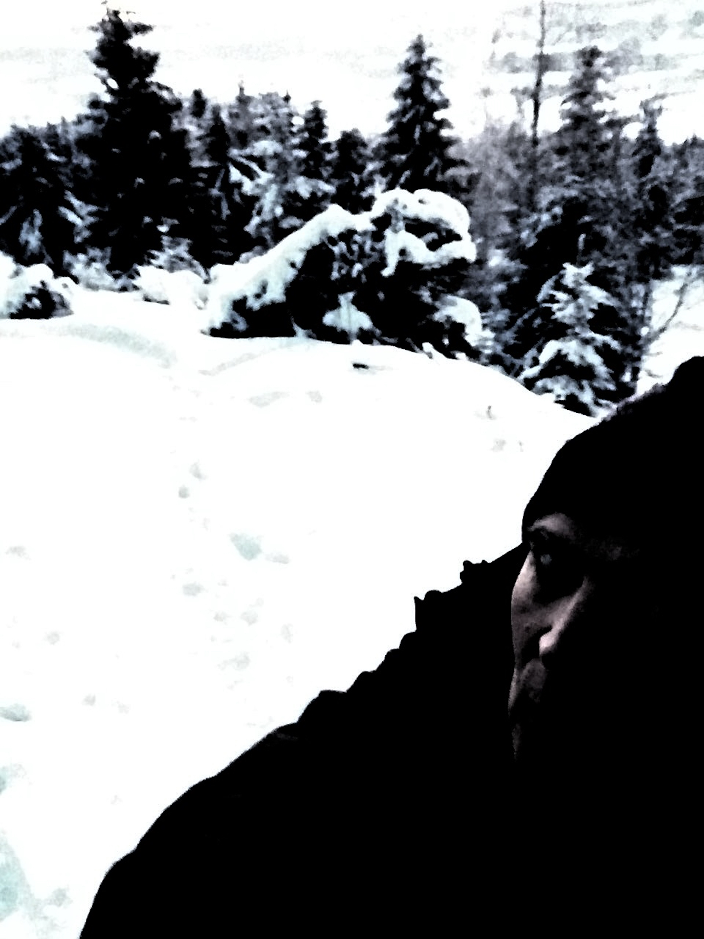 Hedmark – Deer Cross The River