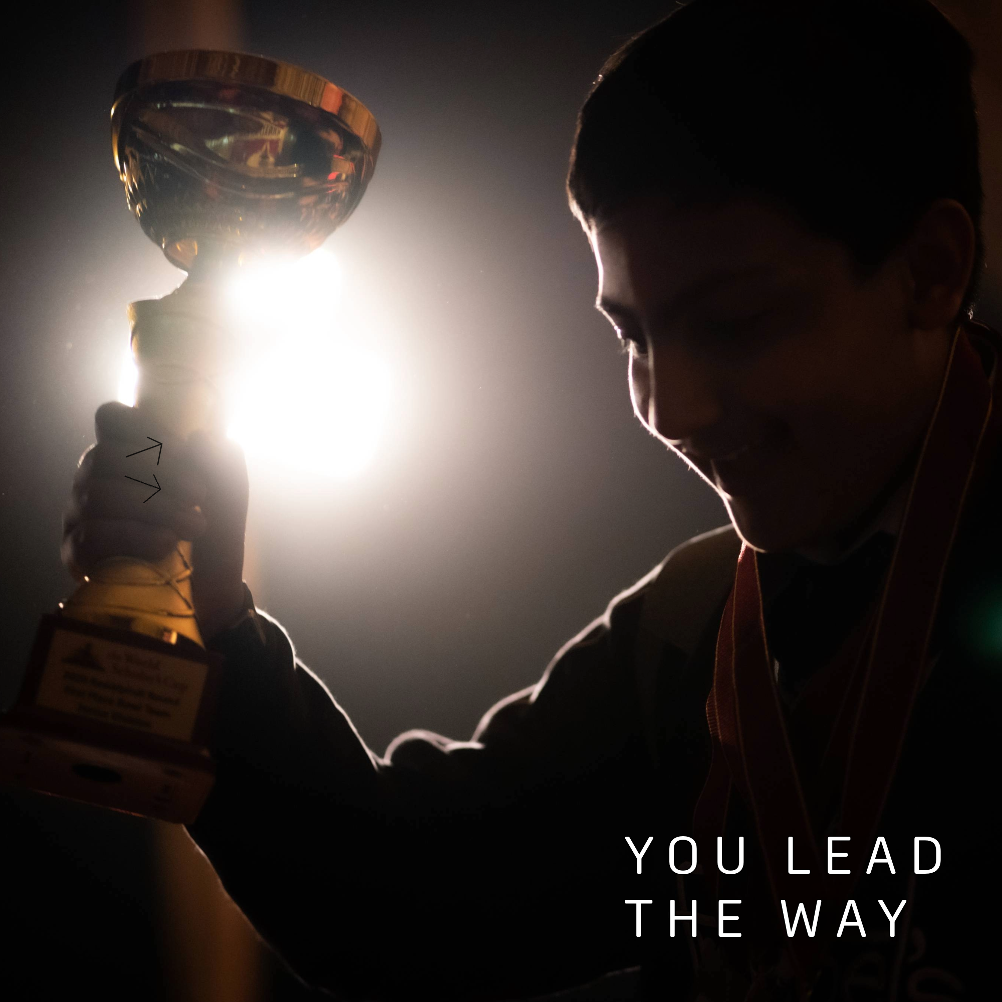 Alpaca-in-Chief – You Lead the Way