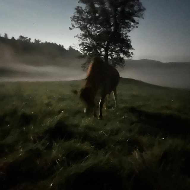 Rocket Bike – Walking Outside