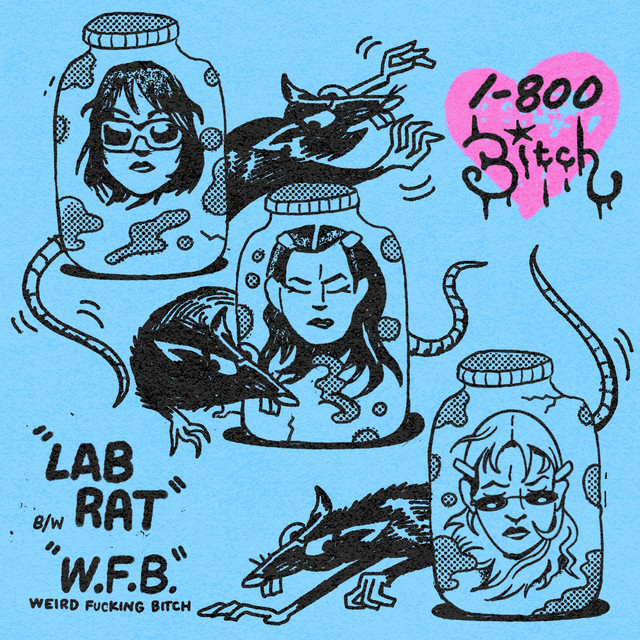 1-800 BITCH – WFB