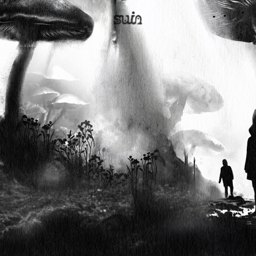 Suin – El equilibrio&nbsp;muerto