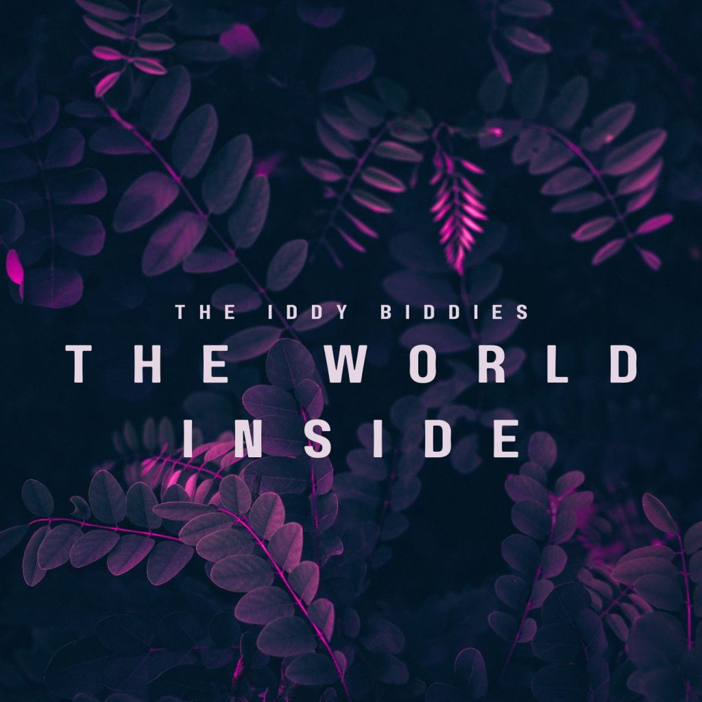 The Iddy Biddies – “The World Inside”