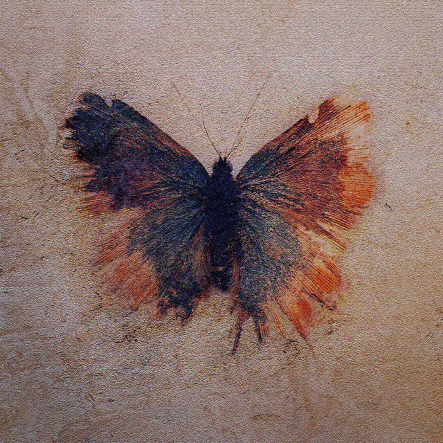 Alive Alive – Saisit mitä ottaisit