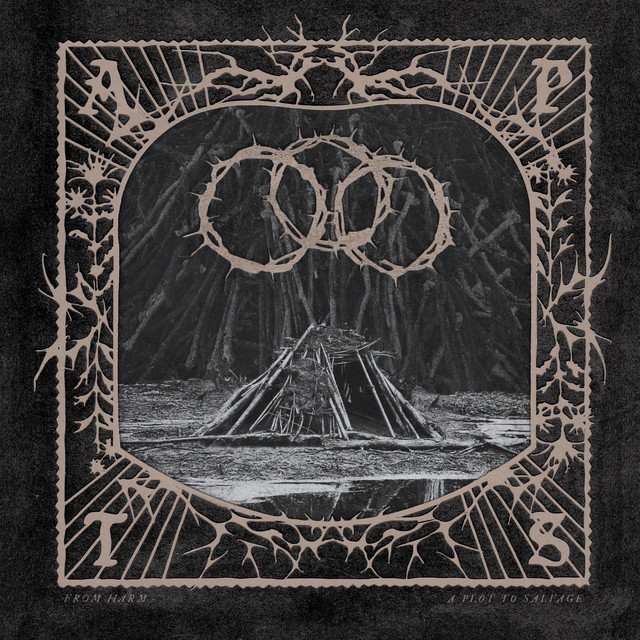 From Harm – No Safe&nbsp;Haven