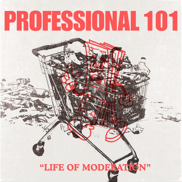Professional 101 – Life Of Moderation