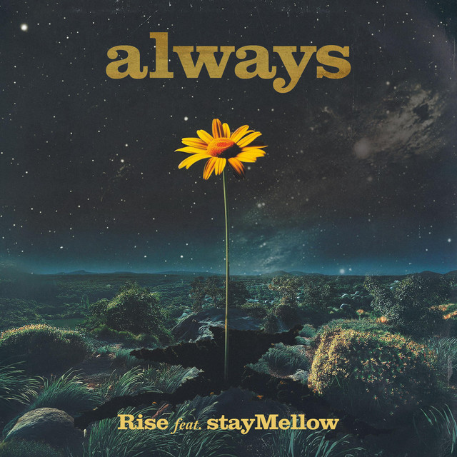 RISE x stayMellow – Always