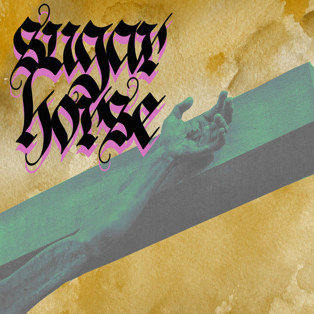 Sugar Horse – Ex-Human&nbsp;Shield