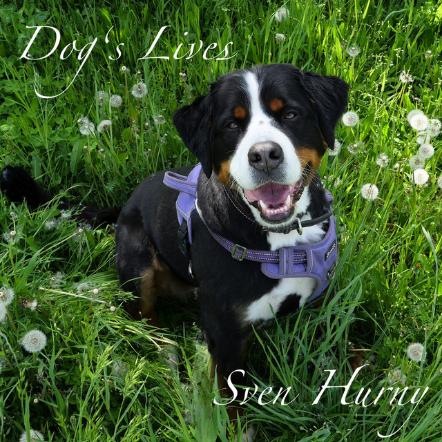 Sven Hurny – Till the Last&nbsp;Breath