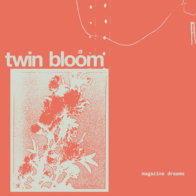 Twin Bloom – magazine dreams