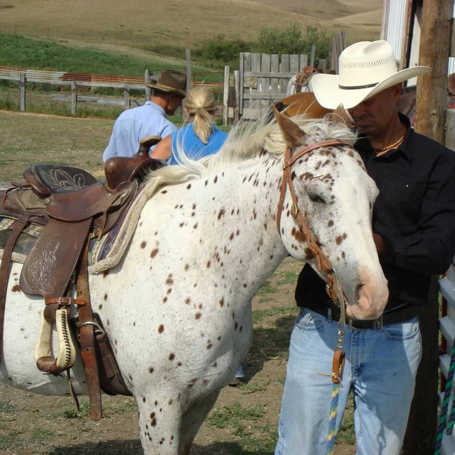 Mitch Freimark – Rock Bottom&nbsp;Heaven