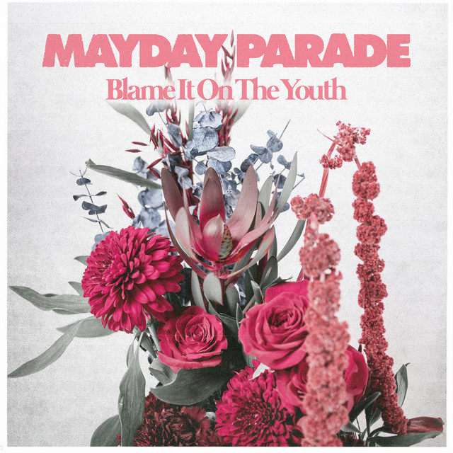 Mayday Parade – Blame It On The&nbsp;Youth