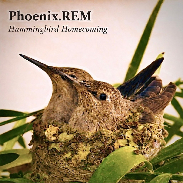 Phoenix.REM – Toward the Stars