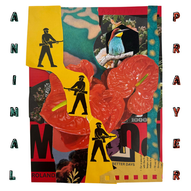 Animal Player – Roland