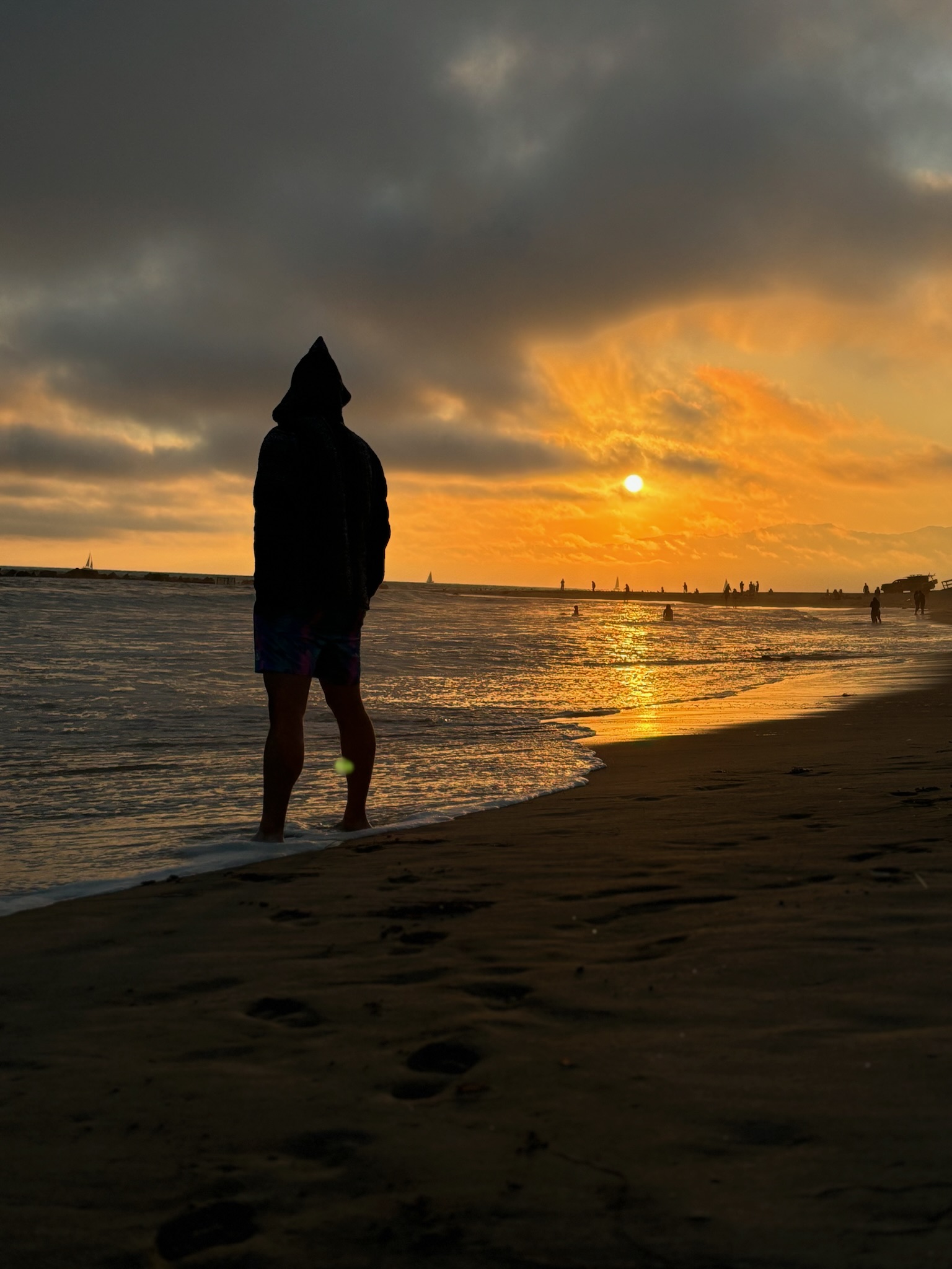 Daniel Bohn – Gallant Guest