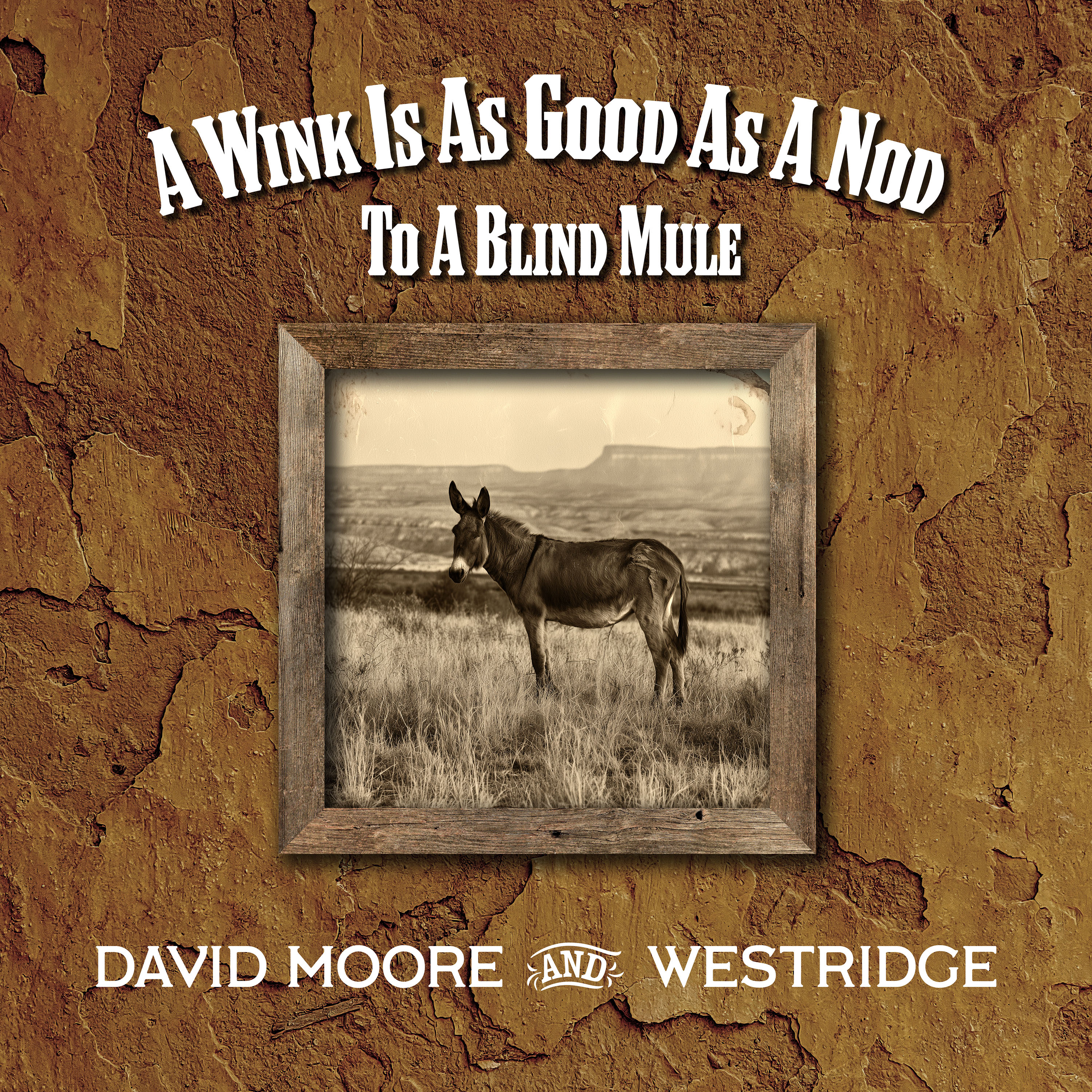 David Moore – A Wink Is As Good As A Nod To A Blind Mule