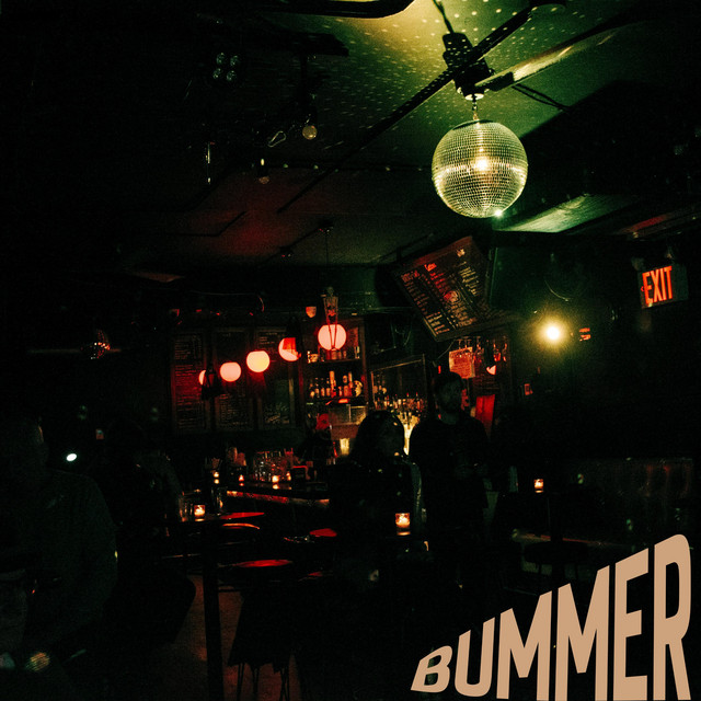 the dt’s – Bummer